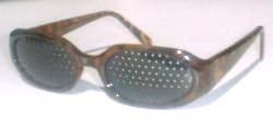 Nevis Tortoise